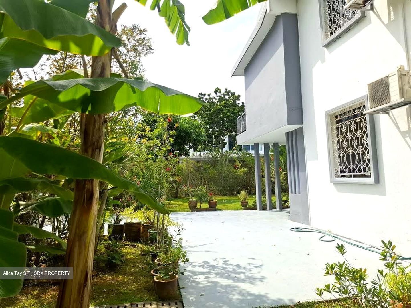 HARTLEY GROVE (D15), Detached #556034321
